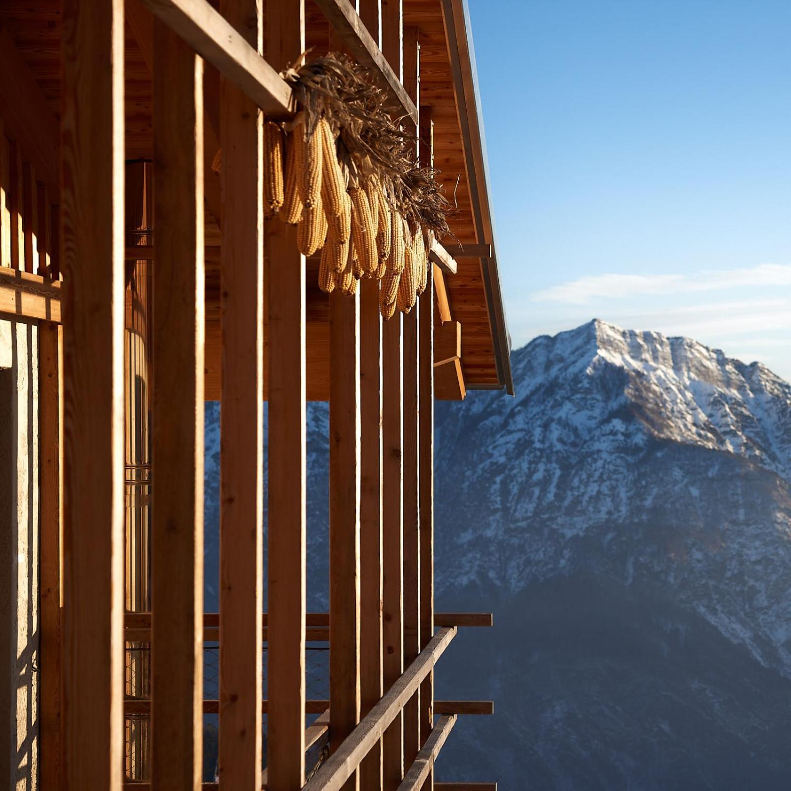 Hotel Nif: Alpine Taste Levico Terme Exterior foto